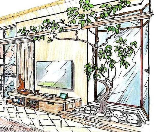 albero in casa